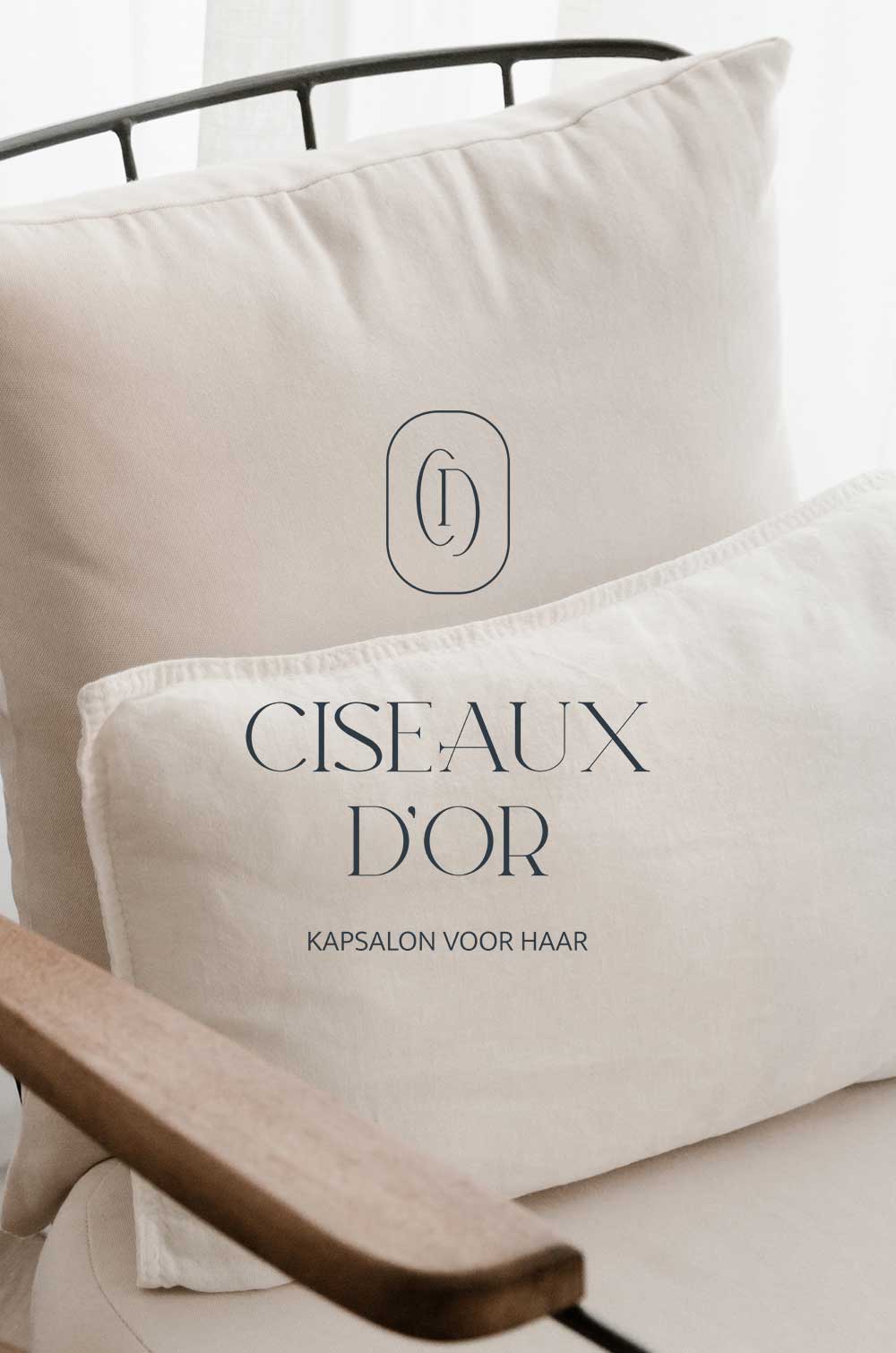 logo-huisstijl-ciseauxdor Rebranding voor Ciseaux D'or